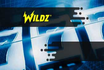 Wildz mobile Spielhalle