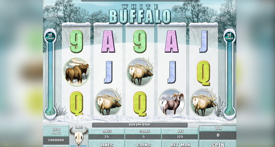 White Buffalo Slot